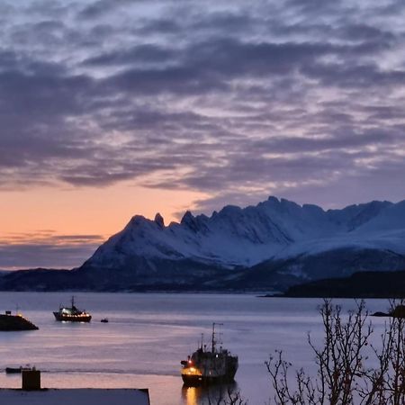 Loftsleilighet Midt I Sentrum Skjervoy Luaran gambar